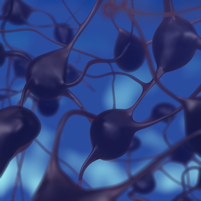 Life Science SMM: Forums