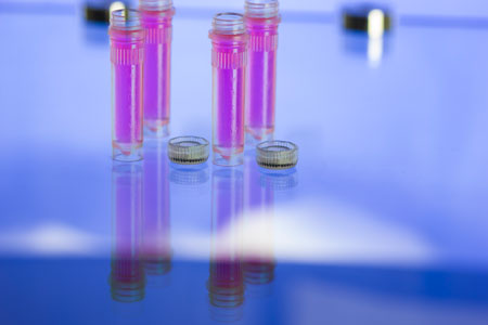 The Plight of the Distributor